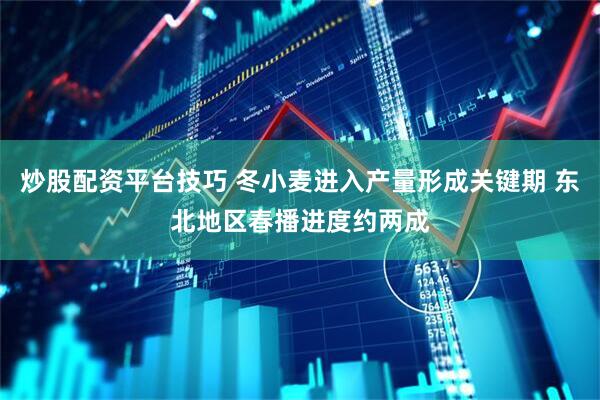 炒股配资平台技巧 冬小麦进入产量形成关键期 东北地区春播进度约两成